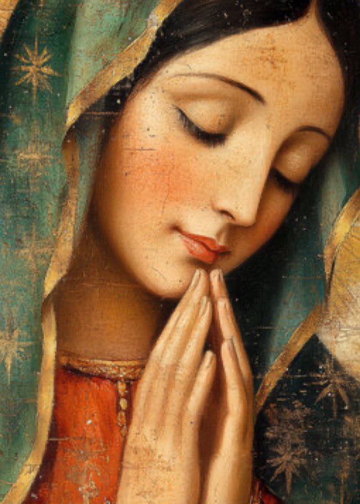 reinatorres7's tweet photo. Bendita sea tu pureza, celestial Princesa, Virgen sagrada, María. 

🙏🏾🌹❤️✝️❤️🌹🙏🏾

#SalveReina #SábadoDeMaría https://t.co/YIQbnbTmAY