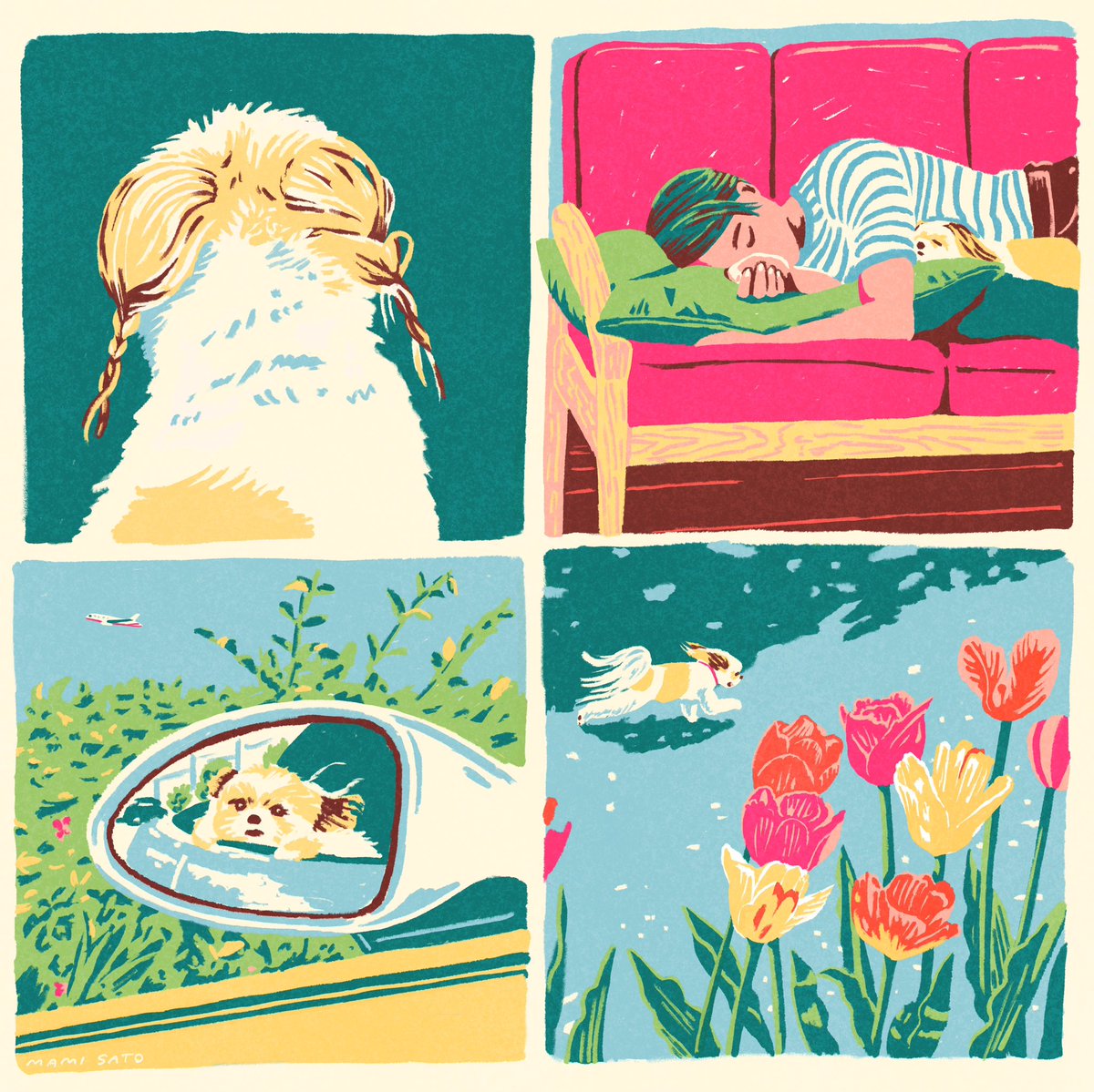 🐶✈️🌷🛋️