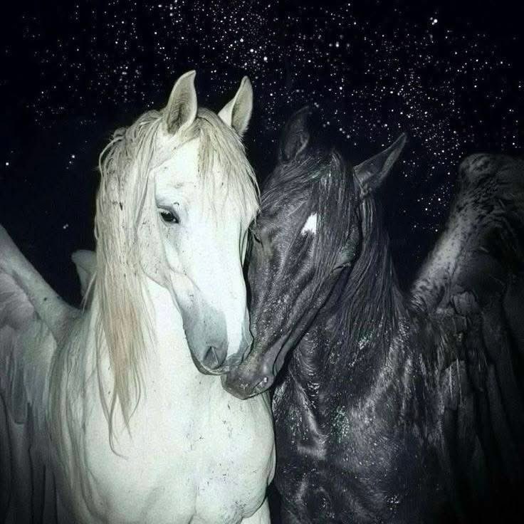 S M S M (@yourfavsmsm) on Twitter photo 