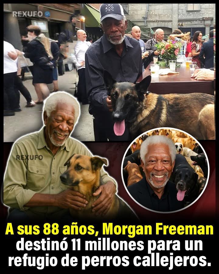 Fundación Revida tweet media