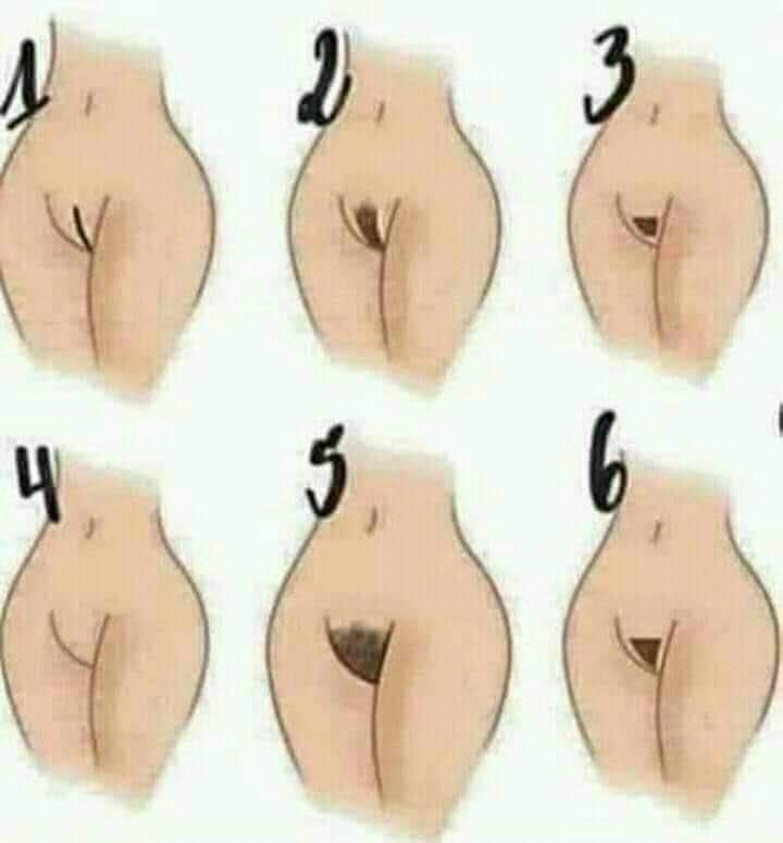 Bizimkinin 4 no ile aynısı