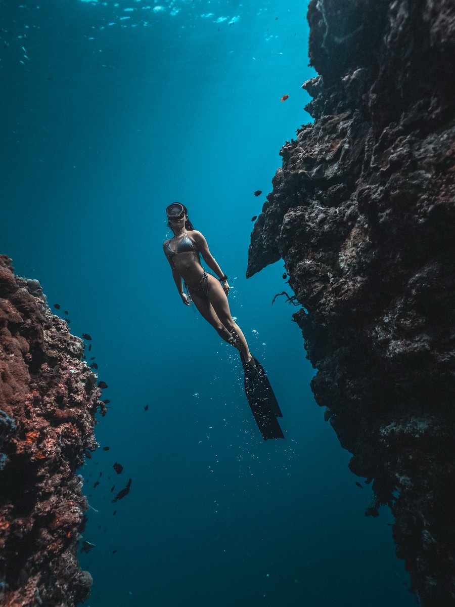 Nooks and Crannies

.
.
.
#freediving #freedive #freediverlife #underwater #underwaterphotography #blueworld #sonya7iii