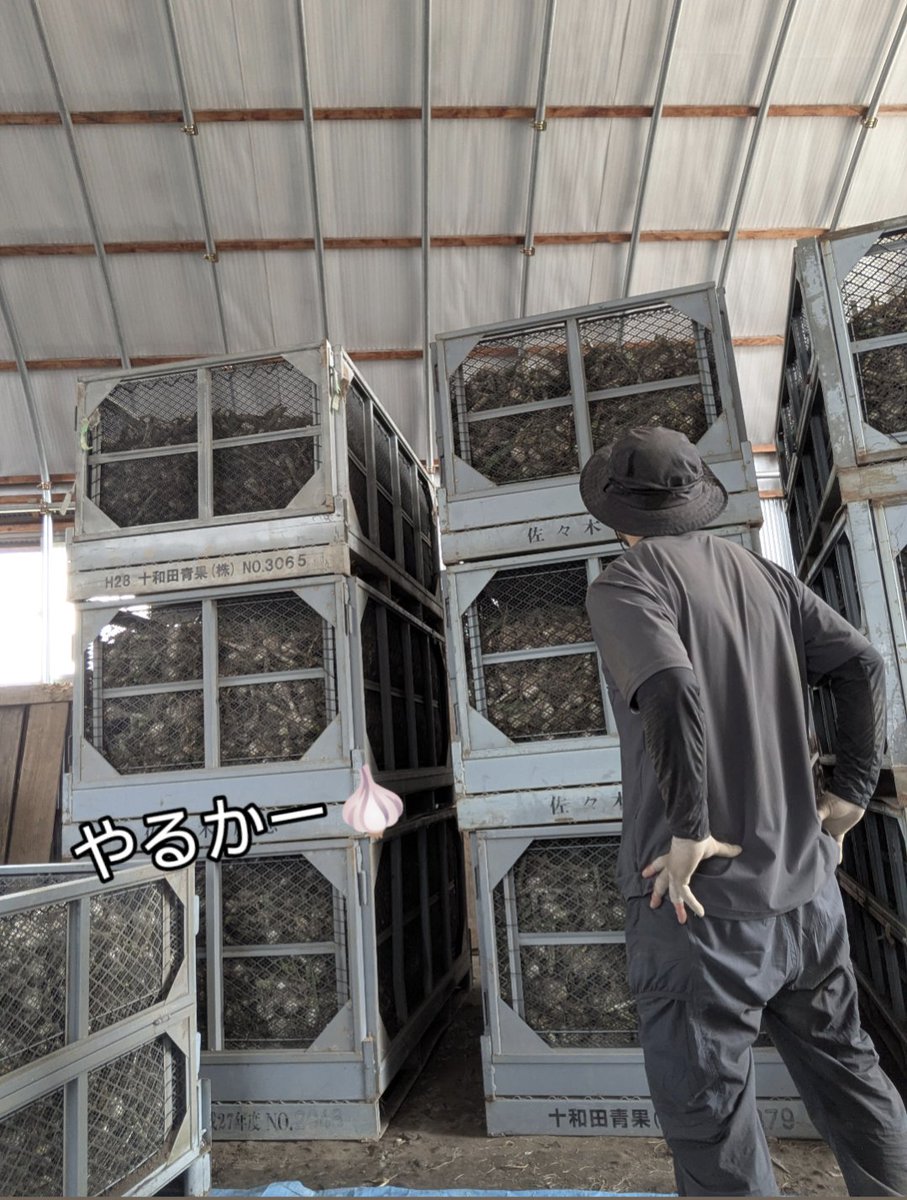 青森のニンニクが日本一であり続けるために。。。
やるかー🧄😴