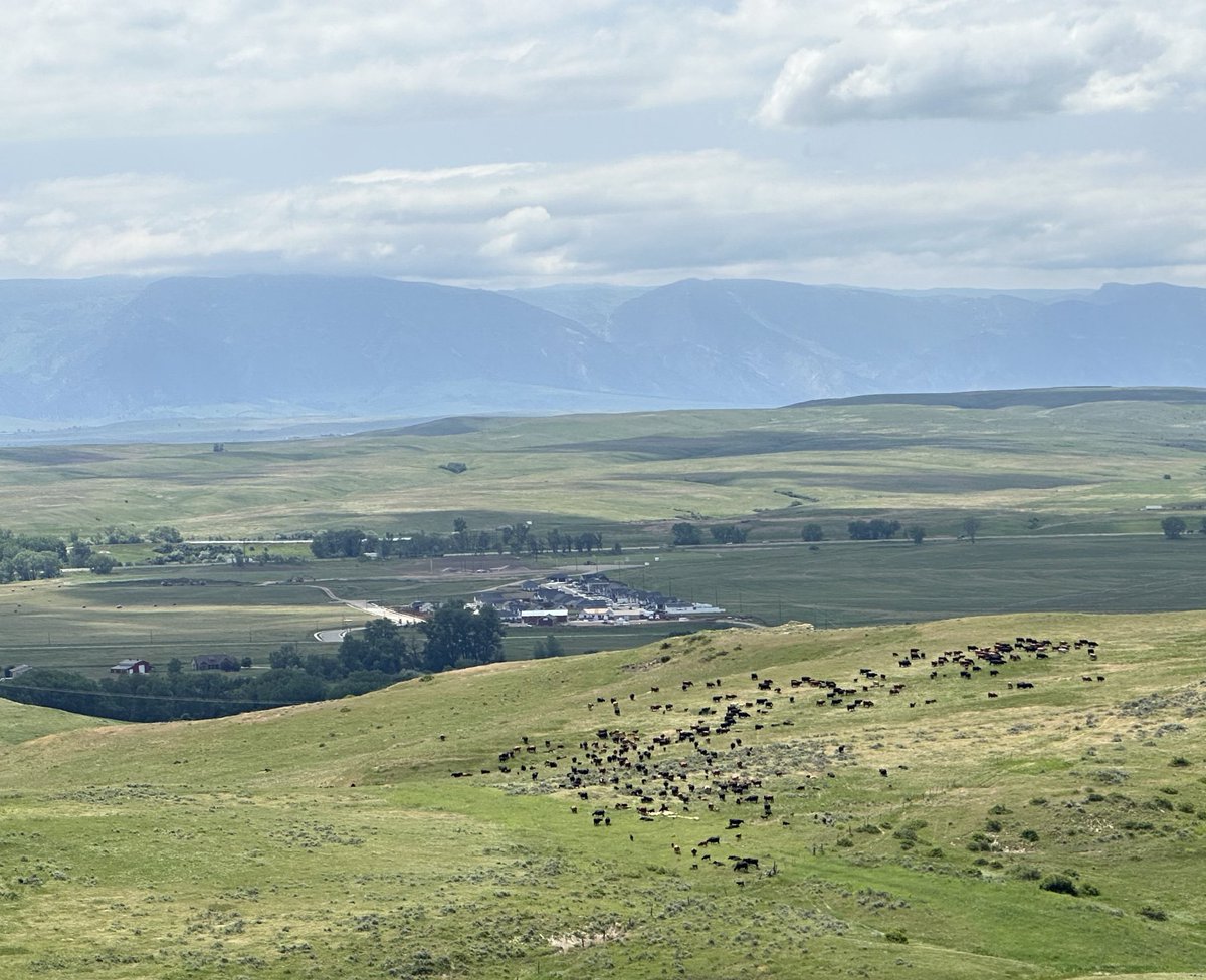 There’s plenty of people who want to sell land for housing in the west, half my neighbors for example. So what’s the real reason for the government land sale?