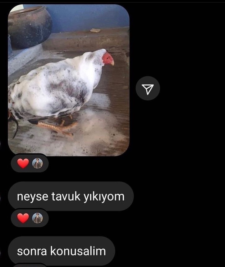 nefistwit (@olucaginavarsin) on Twitter photo 