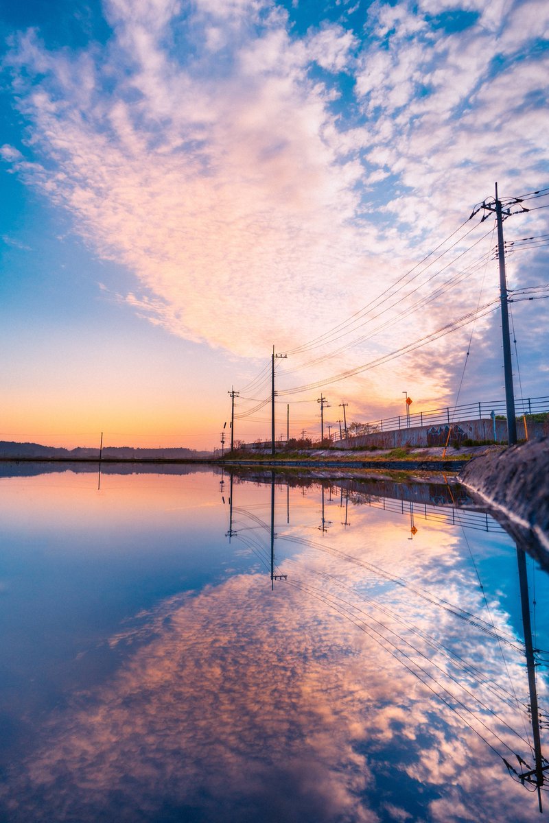 翼みたいな雲だった