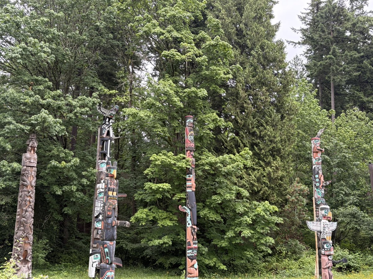 Jonathan Moser tweet media