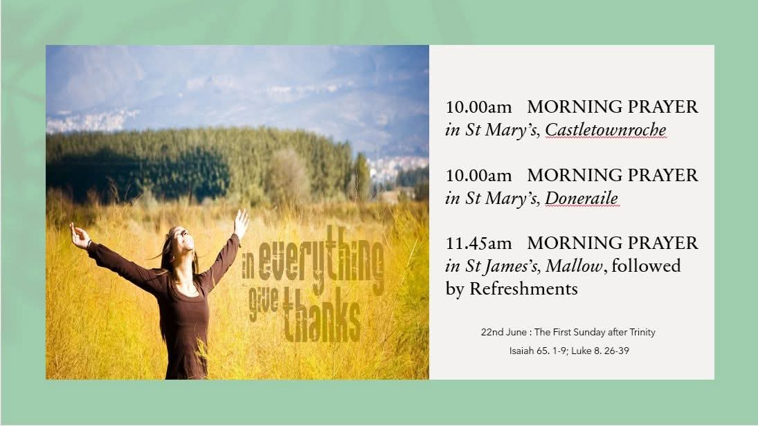 St.JamesMallow tweet media