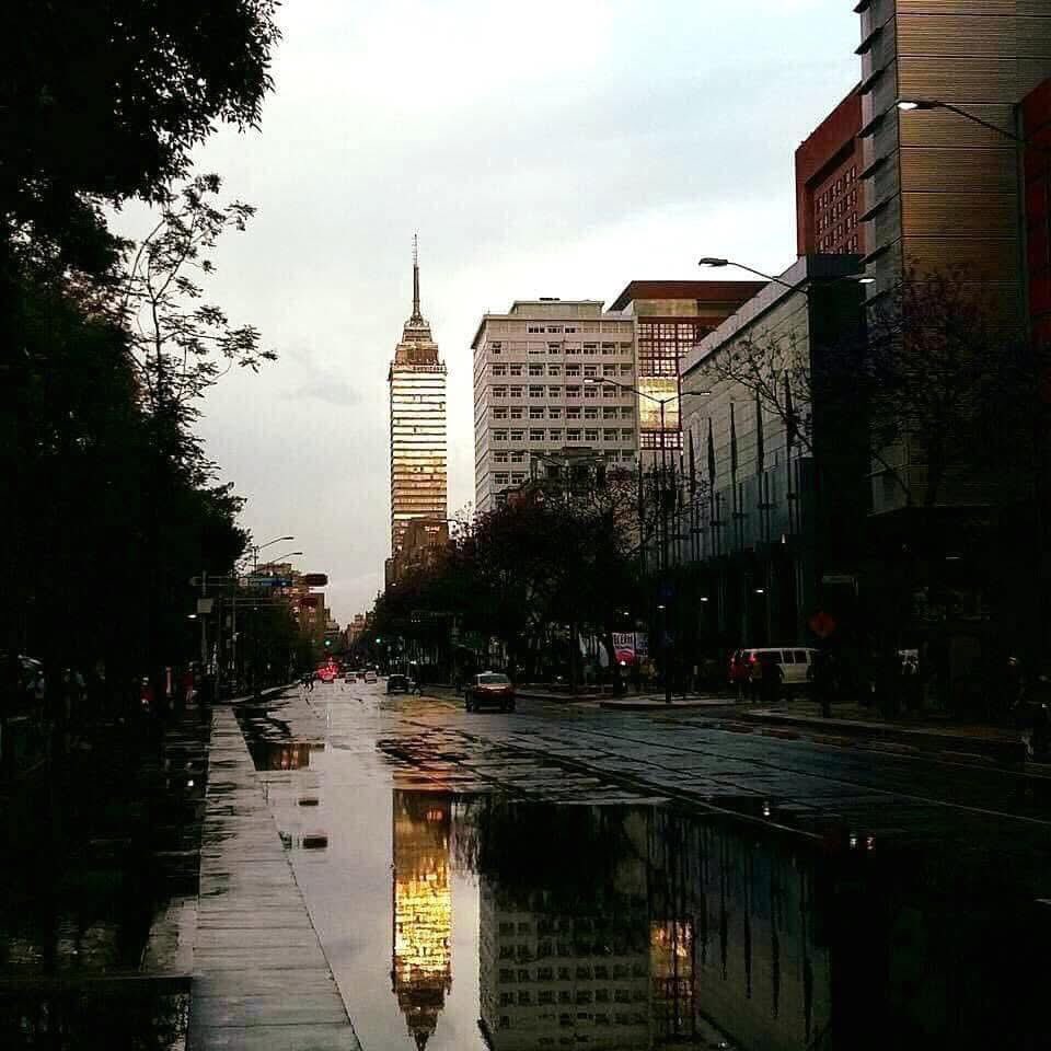 Podríamos habernos sentado a hablar de la lluvia y observar con la inocencia perdida nuestro reflejo en los charcos, pero decidimos ser los dueños de la próxima tormenta...

. — Ernesto Pérez Vallejo