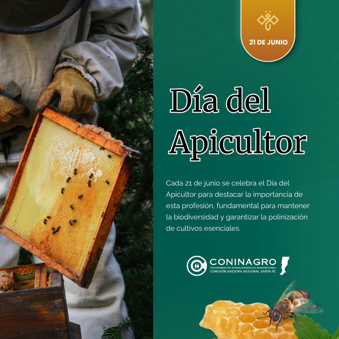 ConinagroSF's tweet photo. 🐝 Desde CONINAGRO Santa Fe saludamos con orgullo a quienes, con trabajo silencioso y esencial, cuidan nuestras abejas y sostienen la vida. ¡Feliz Día del Apicultor! 🌻🍯 #Apicultura #CampoArgentino #Coninagro https://t.co/1nsmgTyUxv