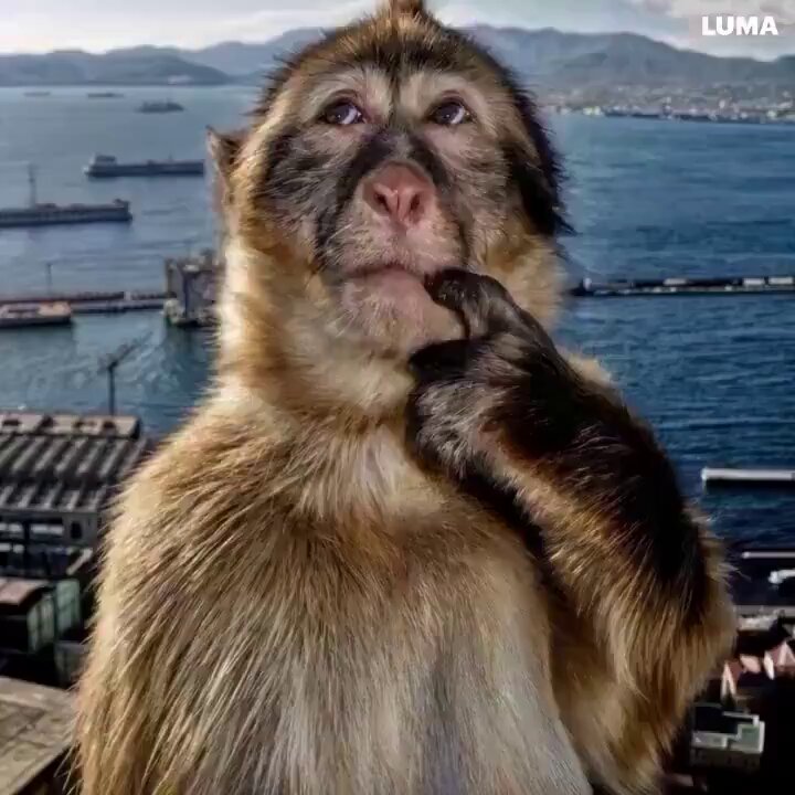 #SOL'da 37'a  alım emri atma fikri