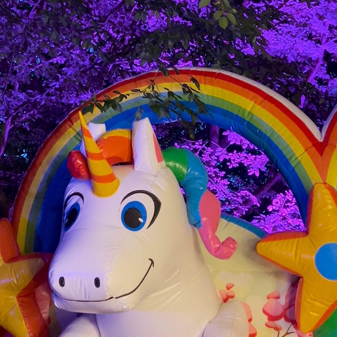 Gute Nacht. 😜🦄