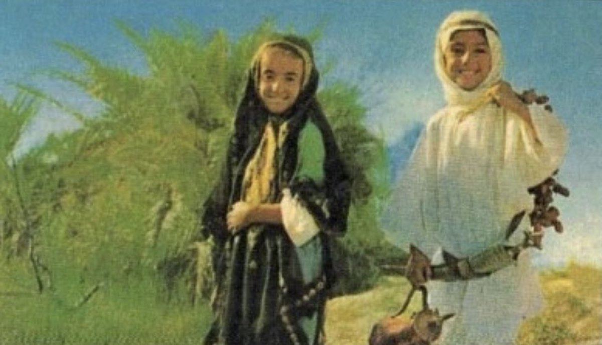 جوان🇸🇦 tweet media