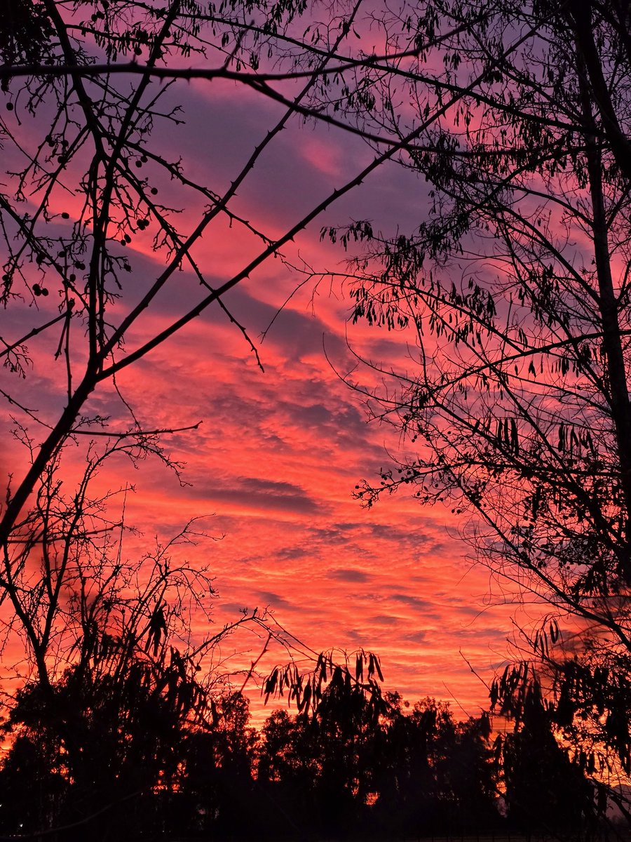 El atardecer de hoy fue de otro nivel 🧡✨️🧡