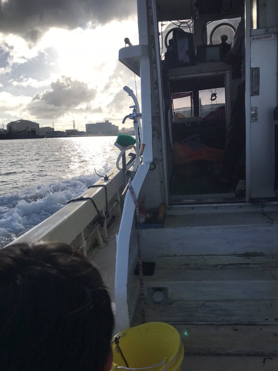 viridian tweet media