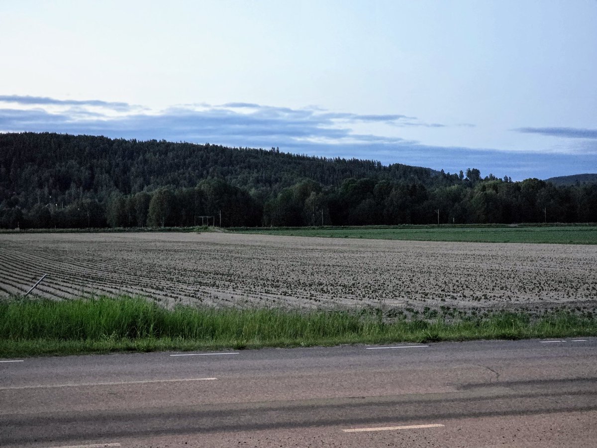 Midnatten är ljus och fin