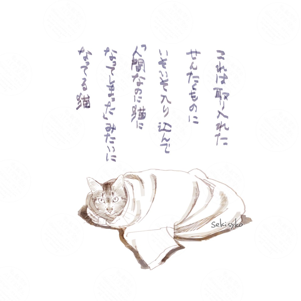 雑日記
家人のおっさんのシャツが人気です 