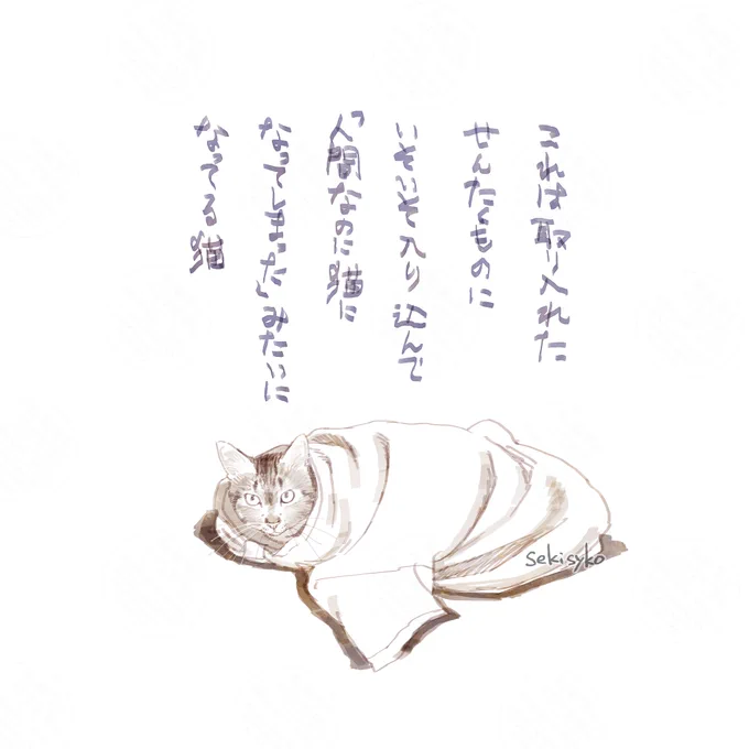 雑日記
家人のおっさんのシャツが人気です 