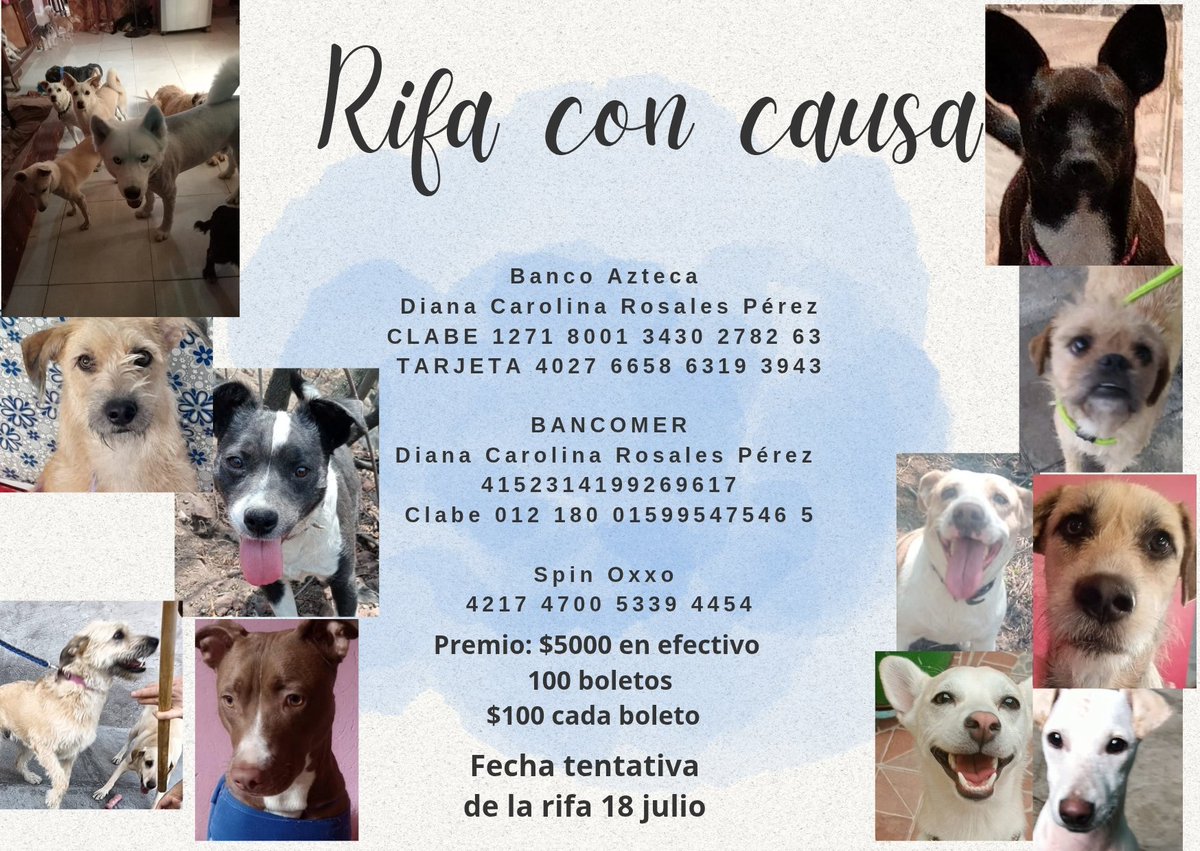 Amigos no hemos vendido ni un boleto ,necesitamos pagar 3 esterilizaciones 
Por favor 🙏🏽 
Ayuda comprando un boleto.