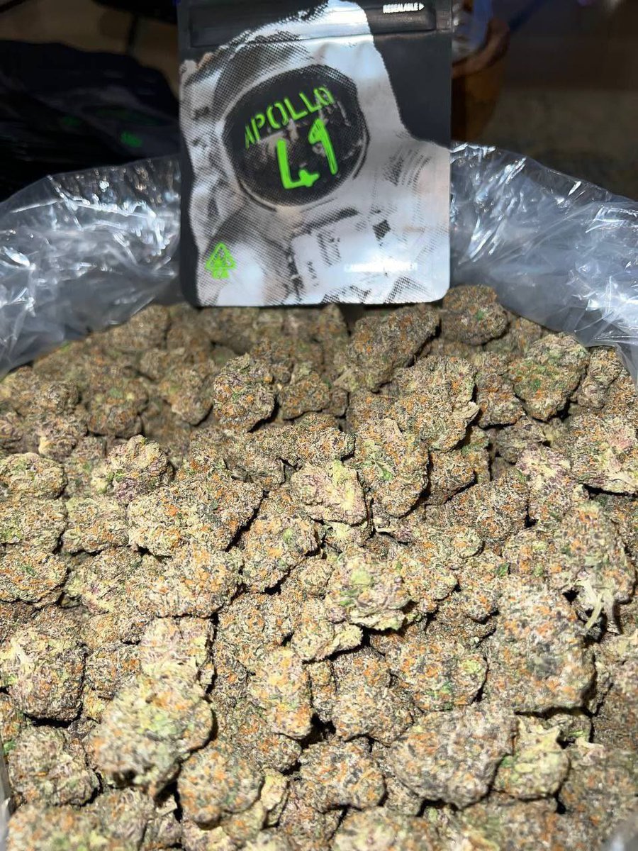 Apollo 41