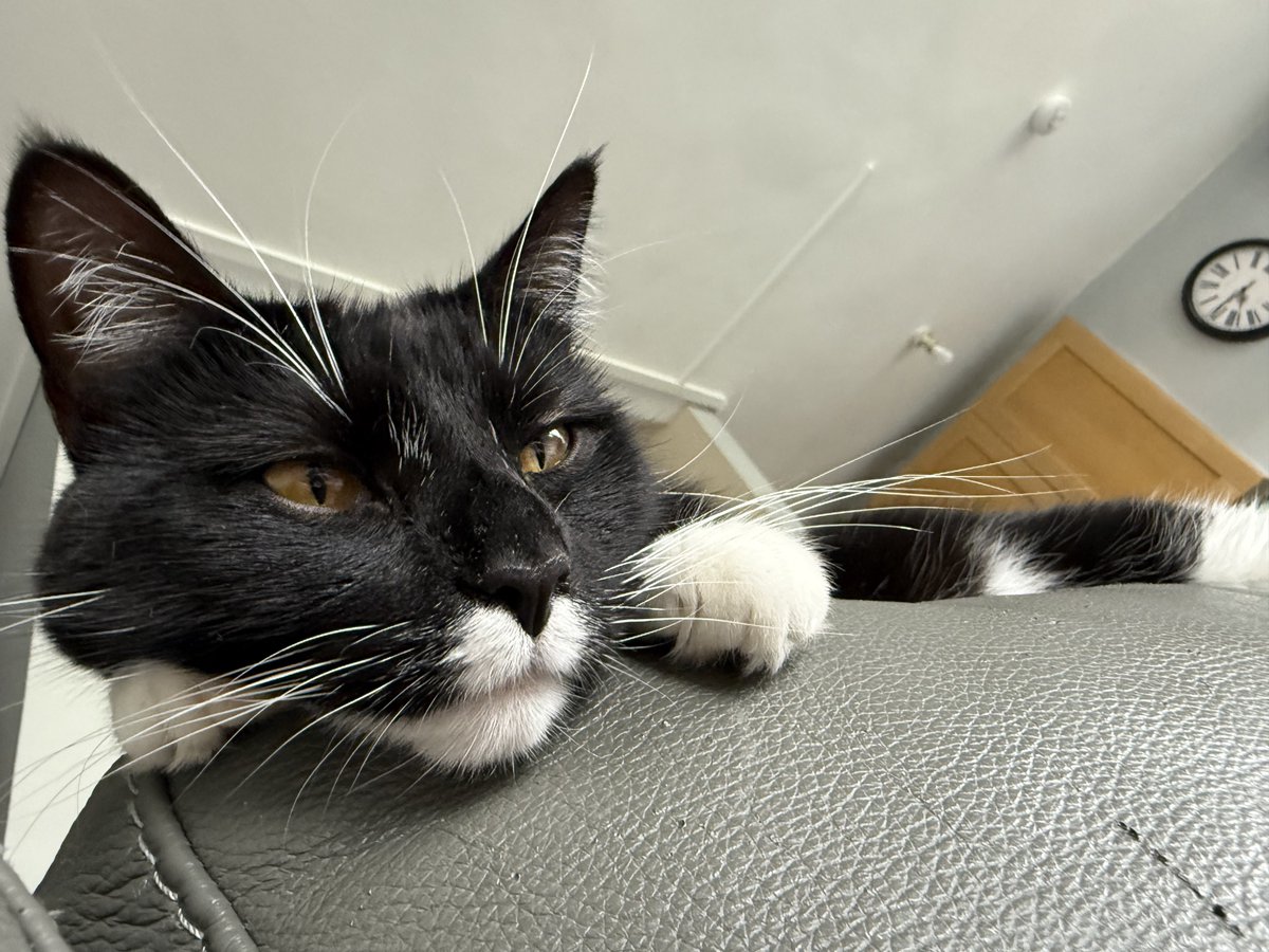 my baby is tired of the heatwave