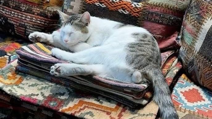 gal౨ৎ (@prtygal777) on Twitter photo 