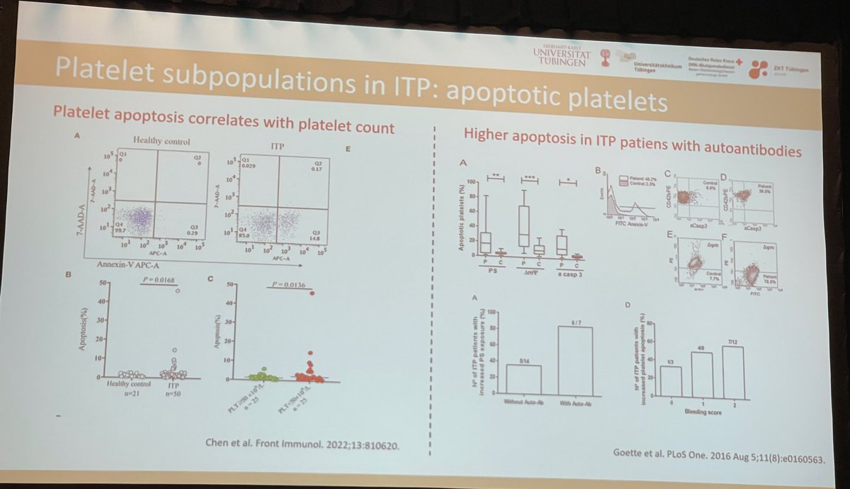 Ruah_Mahmoud's tweet image. Platelets are not all the same. There are different subpopulations; procoagulant, aggregating, and apoptotic plts. Dr. Uzun presents his study on platelet Abs induce distinct plts &amp;amp; megakaryocyte phenotypes in ITP
#ISTH2025 #ITP #MedTwitter