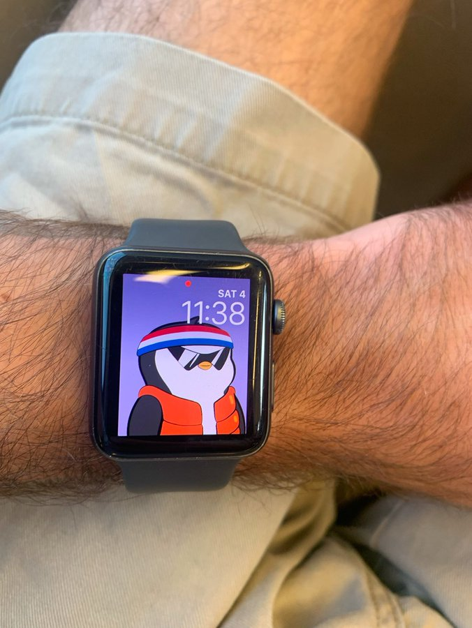 rarlop's tweet photo. @Ashcryptoreal If you’re a guy in your early 20s, buy a pudgy penguins watch.

Go into debt if you have to https://t.co/EWJKTXuJgR