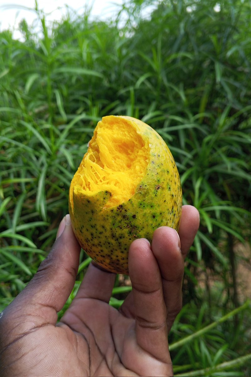 WatukoFoods's tweet photo. Made in Uganda! https://t.co/UPEb7YMK0r