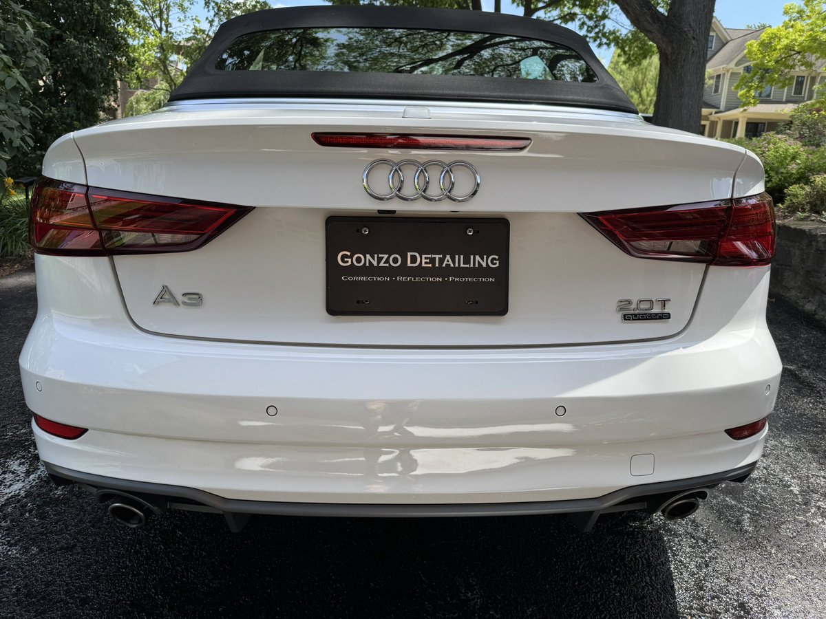 Gonzo Detailing tweet media