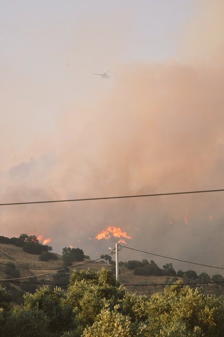 Aydın Valisi Canbolat, Savrandere Yangın Alanını Ziyaret Etti