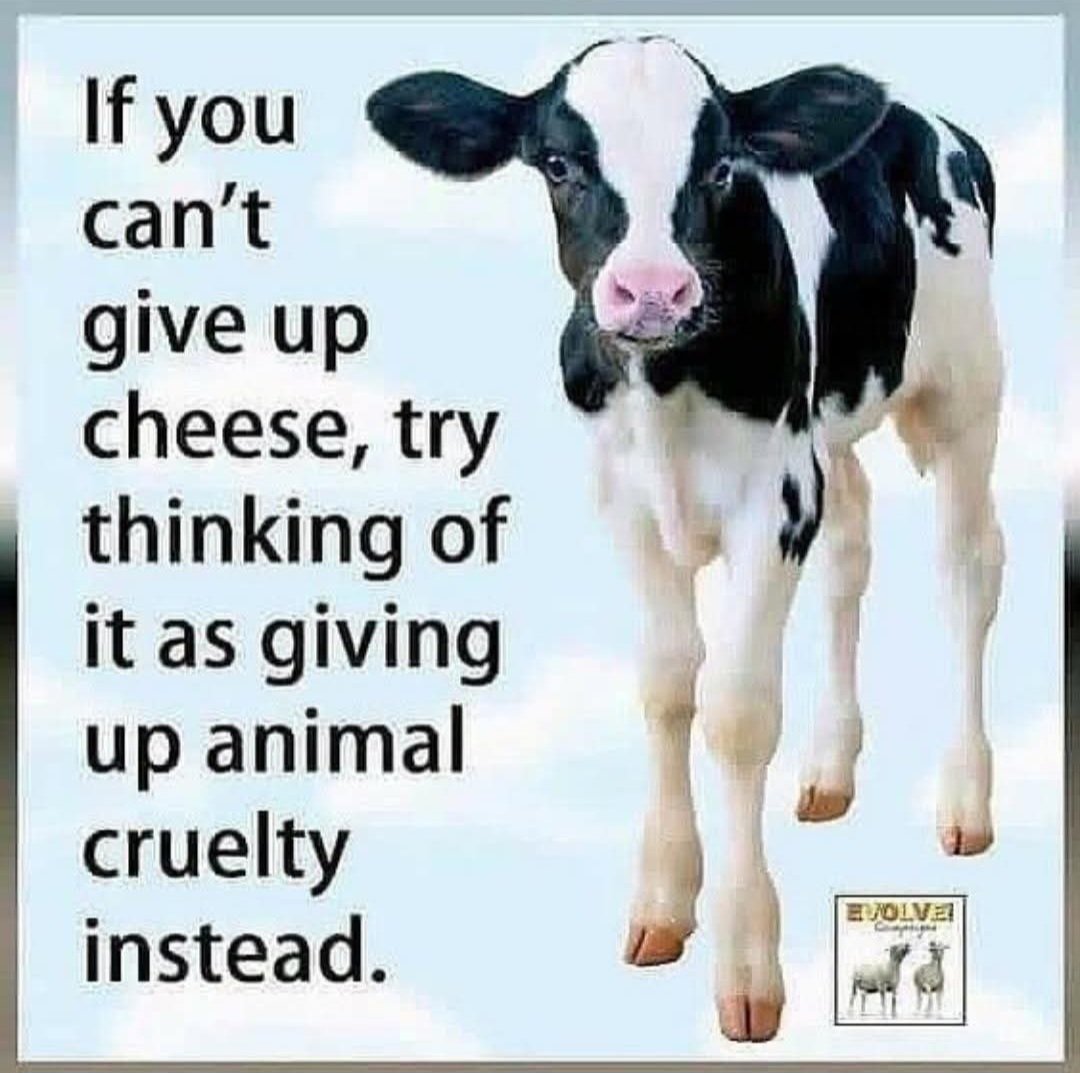 Annual kidnapping, r@pe, slavery and baby killing AND these are the LEGAL things they are allowed to do!

To quote dairy farmers and workers, they universally call them their "dirty secrets"

Heartheirvoices.ca 

#dairy #milk #farmer