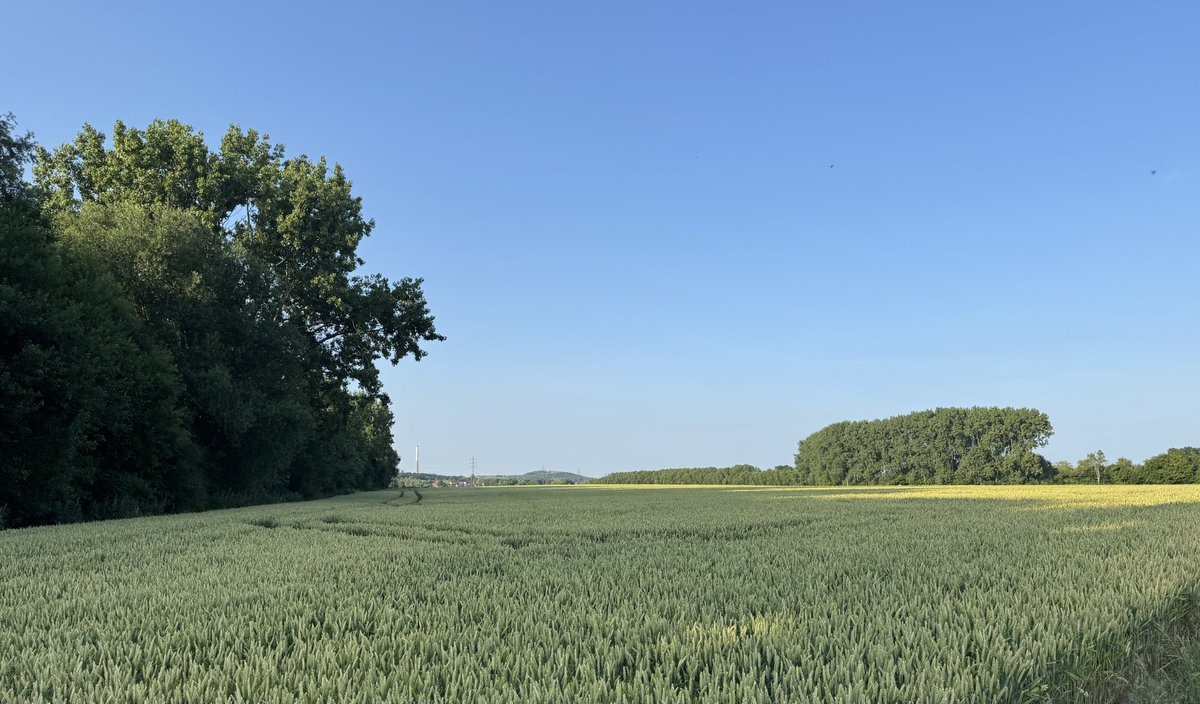 Martin Klusmann tweet media