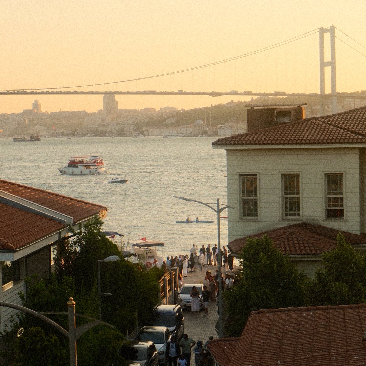 deniz tweet media