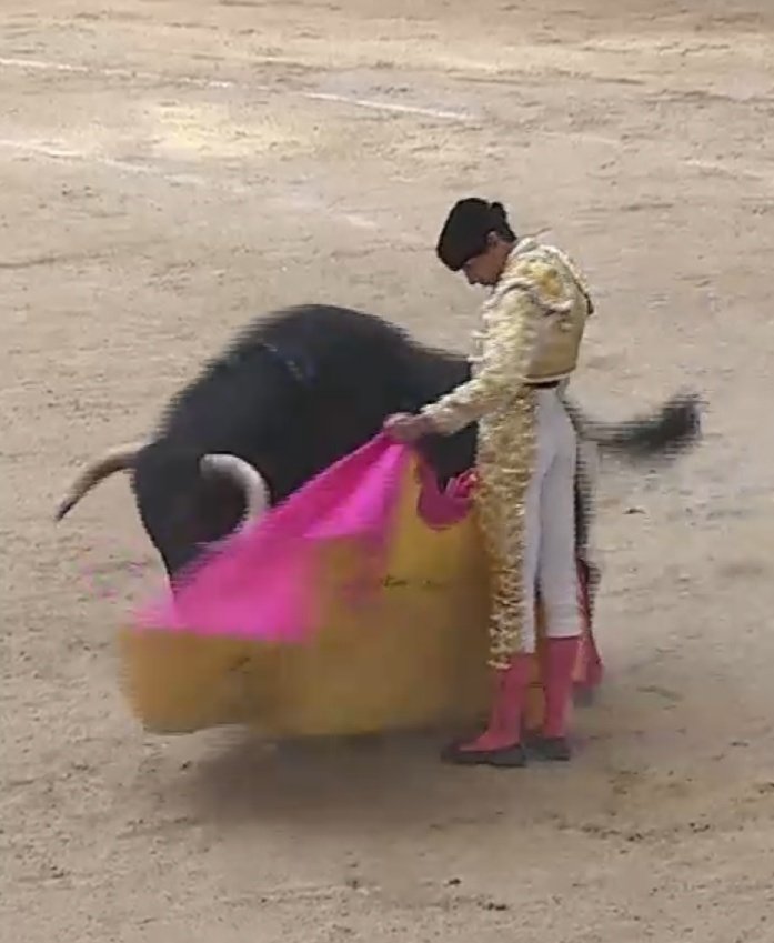 Seisyelsobrero (@seisyelsobrero) on Twitter photo Magnífico recibo con el percal de Jorge Molina al pupilo de <a href="/JEnriqueValdefr/">Finca Valdefresno</a> <a href="/CopaChenel/">CopaChenel</a> Magnífico recibo con el percal de Jorge Molina al pupilo de <a href="/JEnriqueValdefr/">Finca Valdefresno</a> <a href="/CopaChenel/">CopaChenel</a>