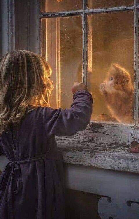 قد لا نفقه المعنى الحقيقي للفقد..!
إنما بسجيتنا نستشعر الكثير من احاسيس الإشتياق..
وبعفويتنا نطبق الكثير من تفاصيل الحنين..
ذلك لأن قلوبنا فُطرت على الرغبة في تواصل من ارتاحت لهم قلوبنا..
رغم محاولات الظروف في تشويش ما تحمله قلوبنا من اشتياق لبعضنا..
لأننا نثق تماماً أن :
اللحظات