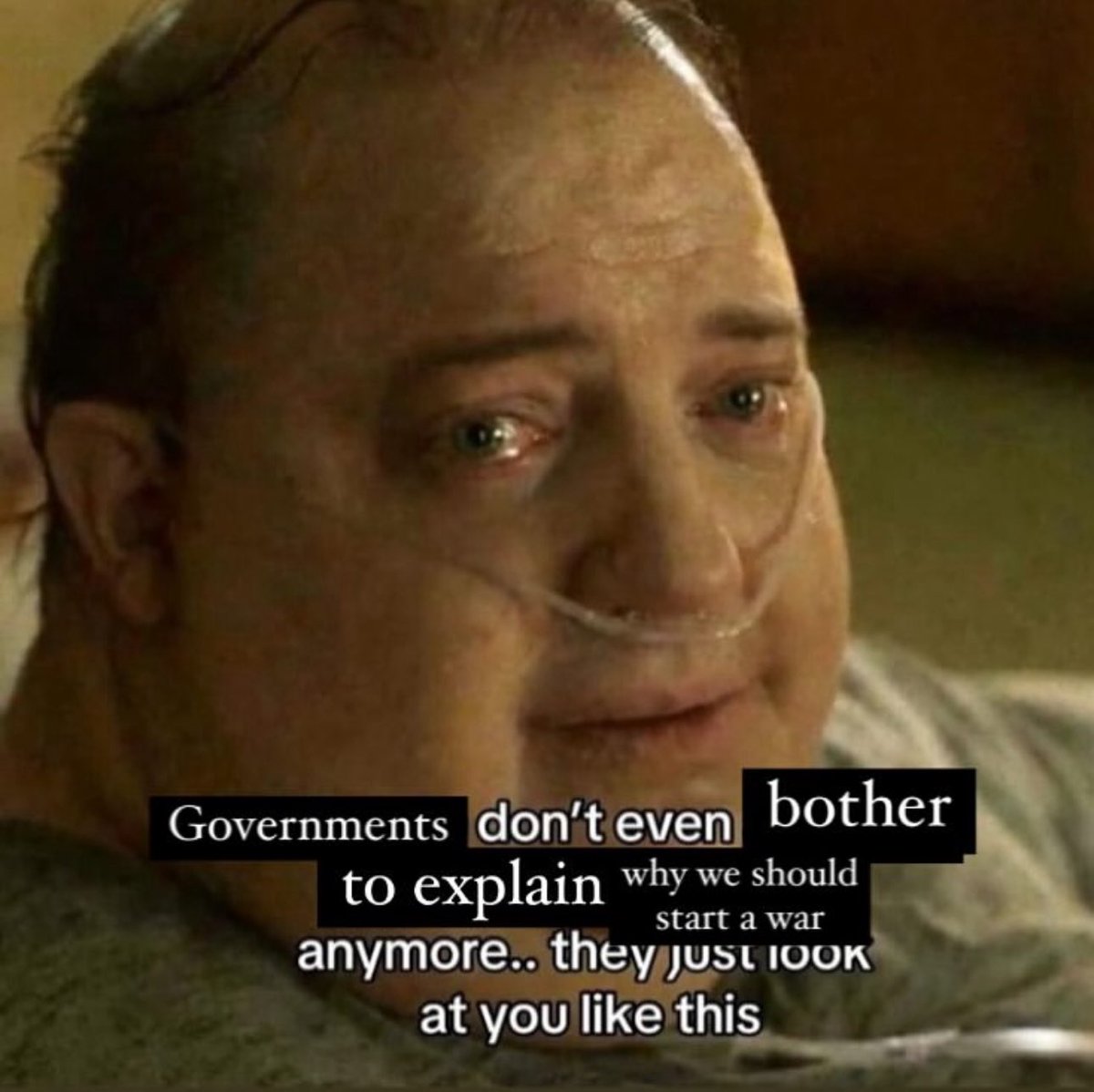 ShitpostGate's tweet image. 