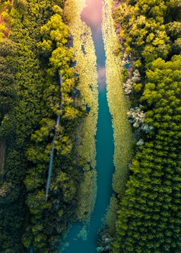 Sakarya'nın doğal güzellikleri