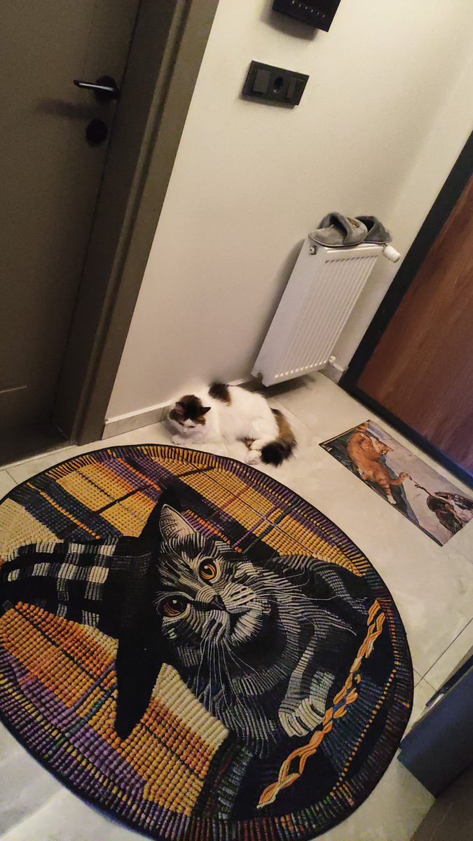 Oreo🍪 tweet media