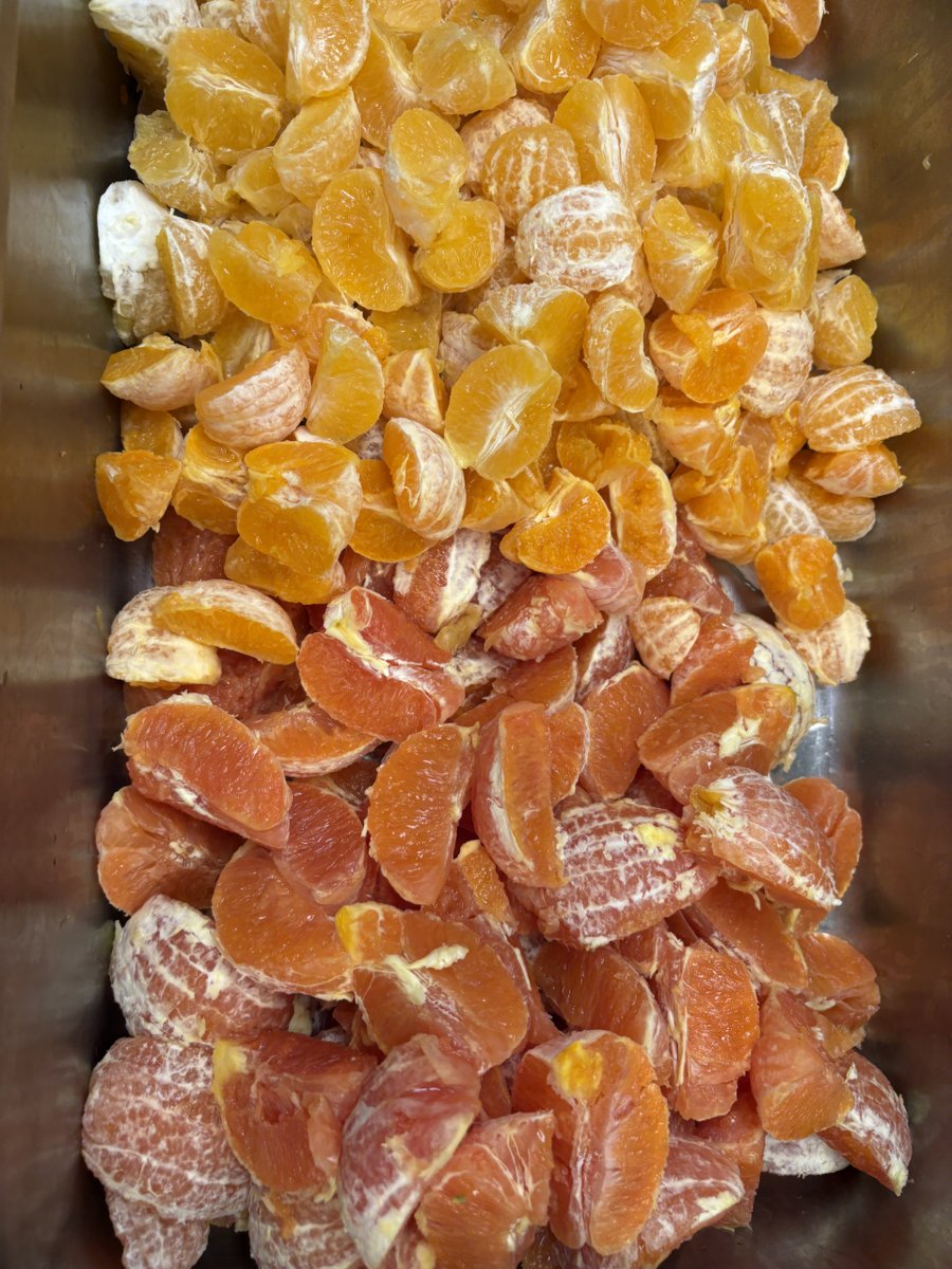 Our Soup Kitchen guests enjoyed this beautiful gradient of oranges during our meal service. What a refreshing way to start the morning! 🍊

#HaleyHouse #FoodWithPurpose #PowerOfCommunity