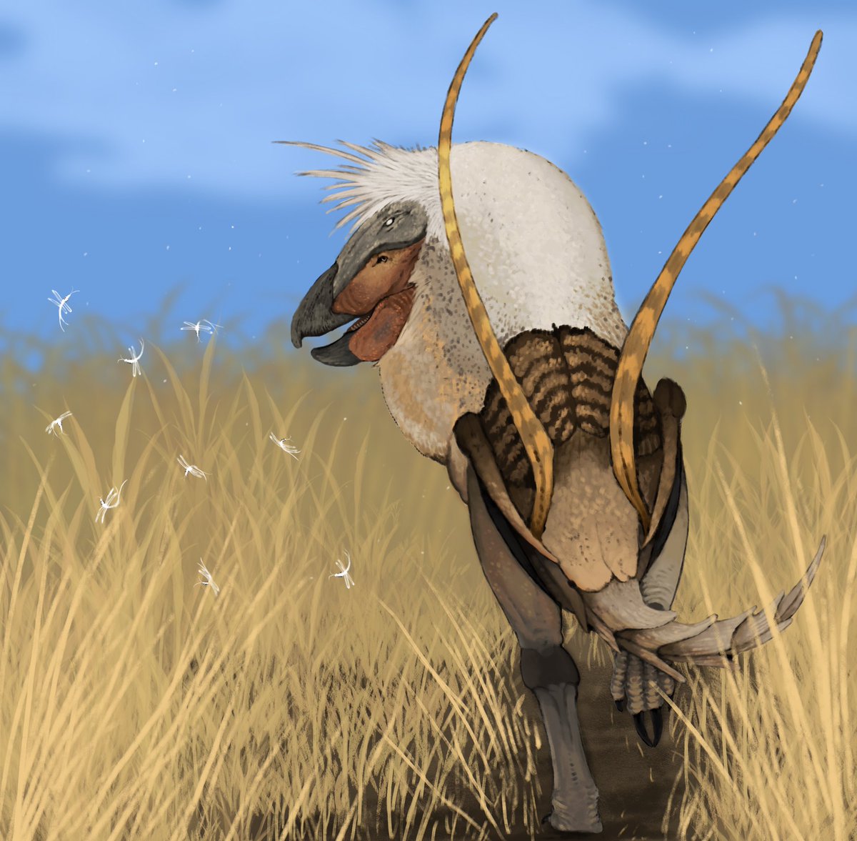 sam fart ಠ▃ಠ (@exotonplanet) on Twitter photo 