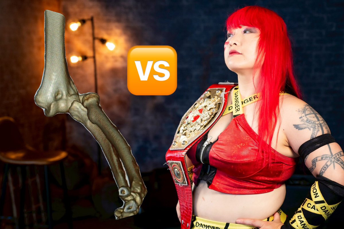 今、本当に一番相手は俺の肘。
あの日、骨が180°回した。マジで痛かった。
でもチャンピオン的に、防衛したかった。
さらに、試合に出る約束があった。
だから、約束を守って、デスマッチをやって、バニー興行に出って、そしてその後に、キャリアーが長くになるように、ちゃんと安静します。