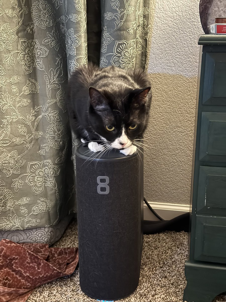 I moved the <a href="/eightsleep/">Eight Sleep</a> Pod in our room and now my cat uses it as platform to hangout