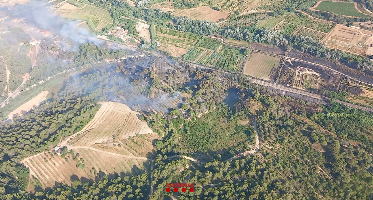 Conitnuem treballant a l'incendi de vegetació forestal entre Martorell i Sant Esteve Sesrovires. El foc, que avança lentament entre el riu Anoia i les vies del tren i ha fet algun focus secundari, evoluciona favorablement.

A lloc, dispositiu amb 22 🚒 i 4 #MAER

#bomberscat