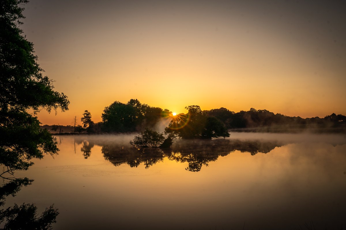 I know I say it often, but I love where I live. To be in such close proximity to 2 Royal Parks is a total joy. This morning, my 5am sprint between Sawyer's Hill and Pen Ponds in Richmond Park to catch the Summer Solstice was SO worth it!☀️❤️
<a href="/theroyalparks/">The Royal Parks</a> 
#SummerSolstice2025