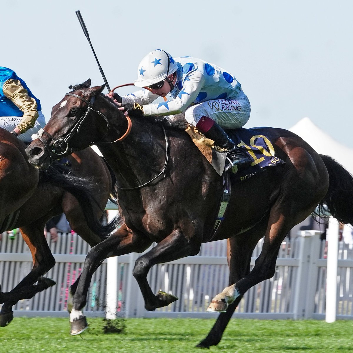 International Thoroughbred (@interthorough) on Twitter photo Today's #RoyalAscot Golden Gates H'cap wnr Quai De Bethune is by <a href="/Haras_d_Etreham/">Haras d'Etreham</a>'s Persian King
The stallion was picked out by <a href="/demoubrayj/">Jocelyn de Moubray</a> in Week 2 of International T'bred / <a href="/weatherbysltd/">Weatherbys Limited</a>'s Xtra newsletter as a stallion with 1st crop 3yos to ๐
๐ bit.ly/Xtra_week2 Today's #RoyalAscot Golden Gates H'cap wnr Quai De Bethune is by <a href="/Haras_d_Etreham/">Haras d'Etreham</a>'s Persian King
The stallion was picked out by <a href="/demoubrayj/">Jocelyn de Moubray</a> in Week 2 of International T'bred / <a href="/weatherbysltd/">Weatherbys Limited</a>'s Xtra newsletter as a stallion with 1st crop 3yos to ๐
๐ bit.ly/Xtra_week2