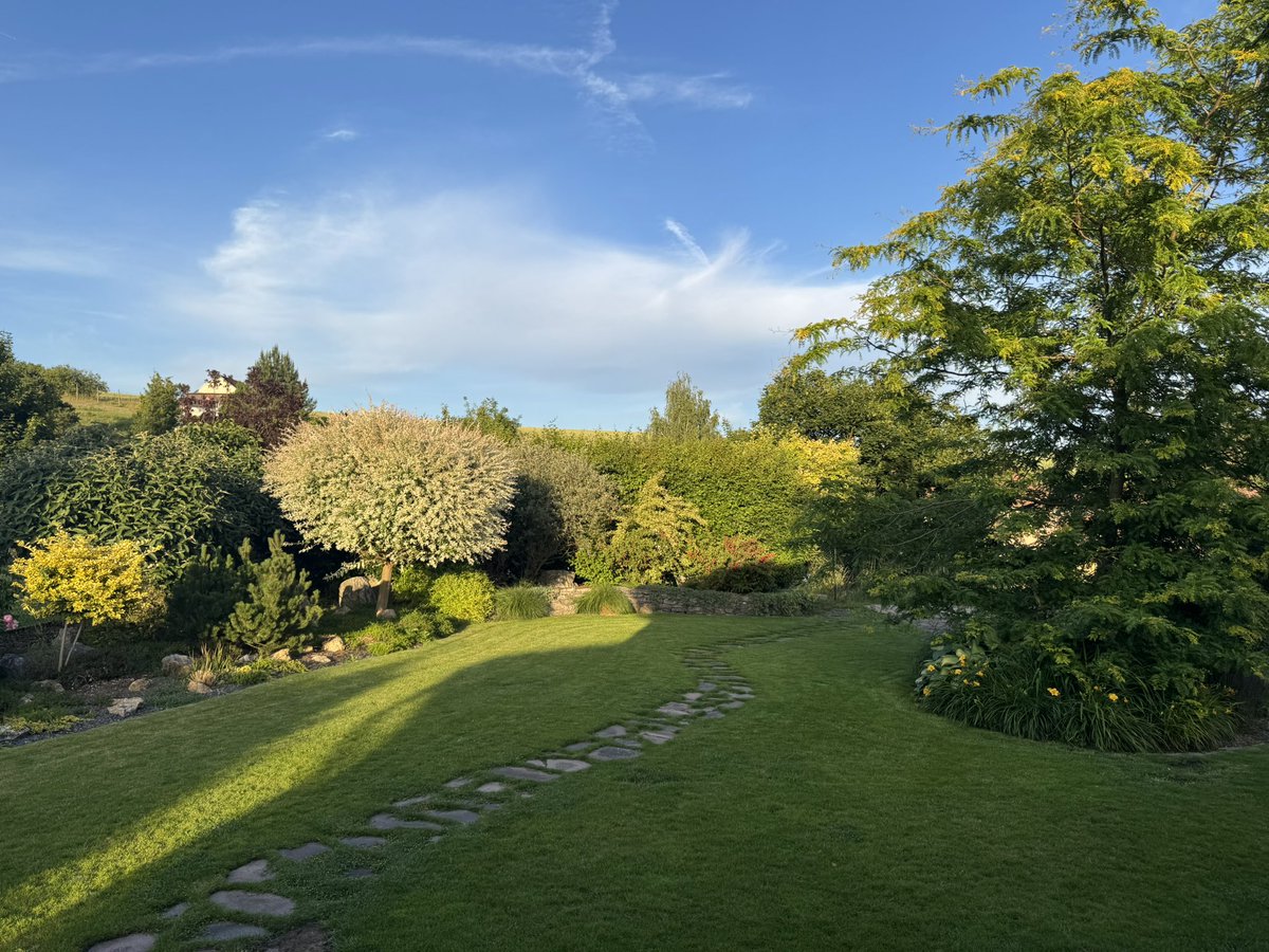 Šňupák vyslyšel mé žalostné proklínání a přestal vochcávat trávník, který mi vzal už tolik sil, času a peněz.  Defekty zarůstají a zase to vypadá hezky. #životsvlkodavem

Všem hezký večer. 🌞🌳