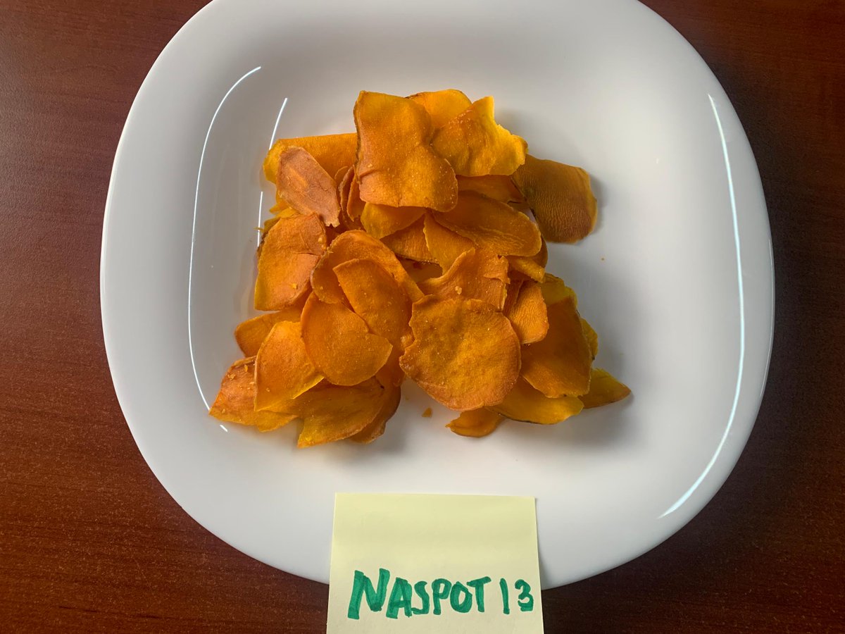 Jean Claude Nshimiyimana (@njclaude5) on Twitter photo OFSP Processing innovation in action!
@HollandaFairFoods is currently testing crisps made from Rwanda-grown OFSP varieties. A step forward in value addition, market creation, and farmer income growth. <a href="/CipotatoRW/">CIP Rwanda</a>; <a href="/Cipotato/">International Potato Center</a>; <a href="/ndirigwe/">ndirigwe</a>
#OFSP #RwandaAgriculture #Sweetpotato OFSP Processing innovation in action!
@HollandaFairFoods is currently testing crisps made from Rwanda-grown OFSP varieties. A step forward in value addition, market creation, and farmer income growth. <a href="/CipotatoRW/">CIP Rwanda</a>; <a href="/Cipotato/">International Potato Center</a>; <a href="/ndirigwe/">ndirigwe</a>
#OFSP #RwandaAgriculture #Sweetpotato