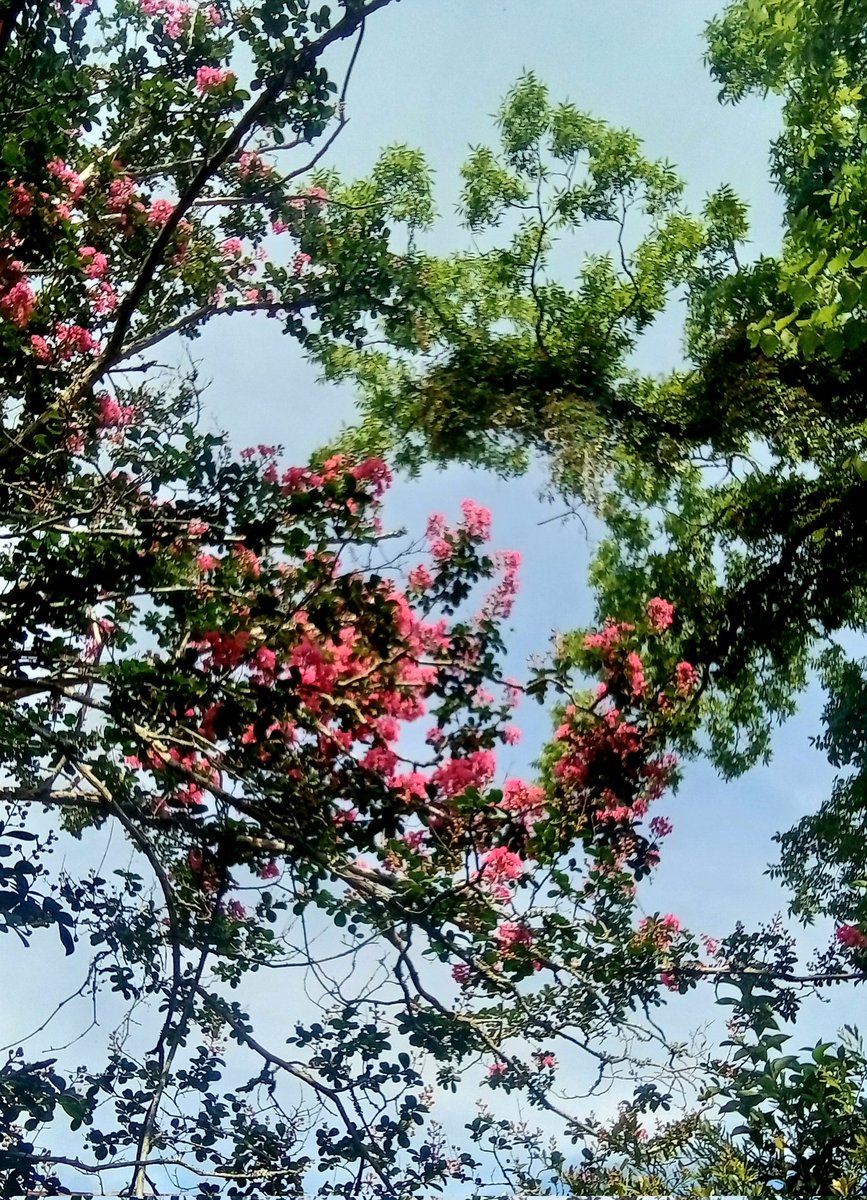 Happy and blessed Saturday.