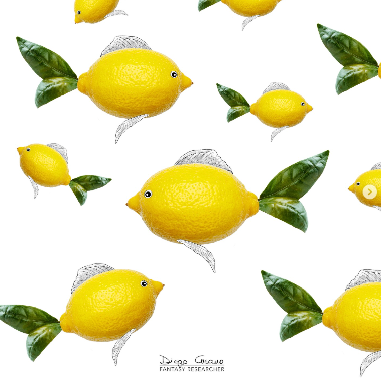 🍋🐠
© Diego Cusano